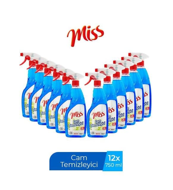 MİSNET CAM TEMİZLEYİCİ 1x12 kg